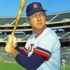 Al Kaline Diamond Painting