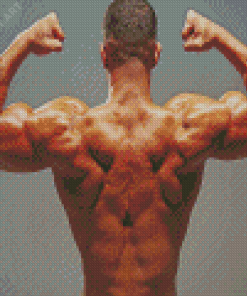 Back Muscles Diamond Painting