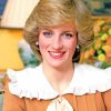 Beautiful Princess Diana Diamond Painting