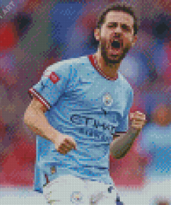 Bernardo Silva Diamond Painting