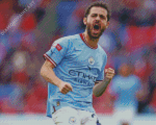 Bernardo Silva Diamond Painting