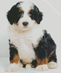 Bernedoodle Puppy Diamond Painting