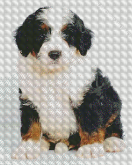 Bernedoodle Puppy Diamond Painting