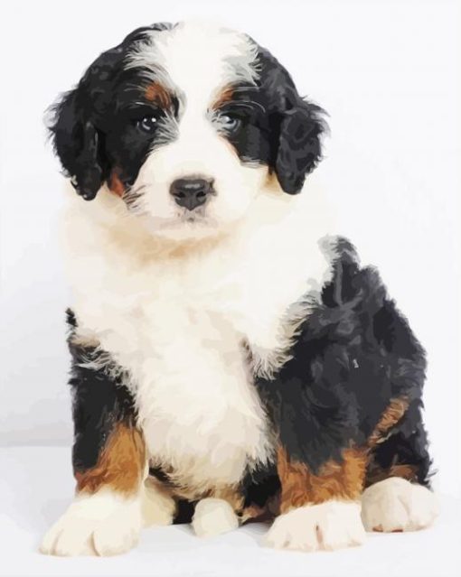 Bernedoodle Puppy Diamond Painting