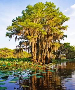 Big Cypress National Park Diamond Painting