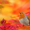 Bird In Autumn Tree Diamond Painting