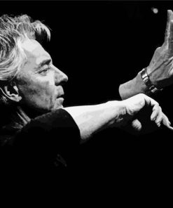 Black And White Karajan Diamond Painting