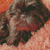 Black Shih Tzu Diamond Paintings