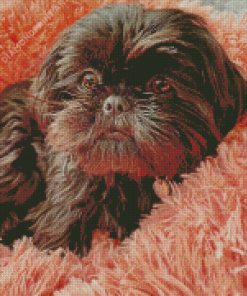 Black Shih Tzu Diamond Paintings