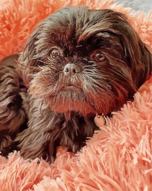 Black Shih Tzu Diamond Paintings