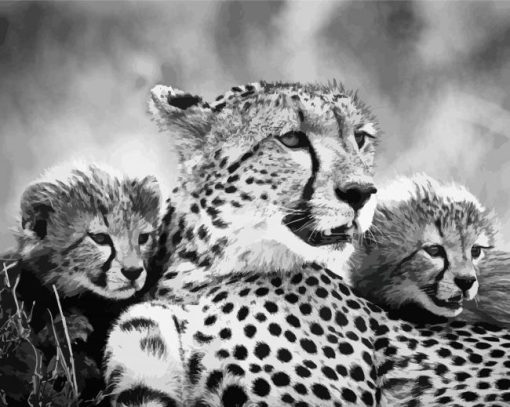 Black And White Cheetahs Diamond Paintings