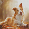 Blonde Border Collie Diamond Paintings