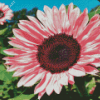 Blooming Pink Sunflower Diamond Paintings