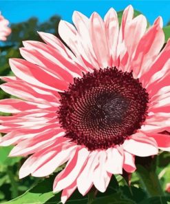 Blooming Pink Sunflower Diamond Paintings