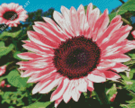 Blooming Pink Sunflower Diamond Paintings