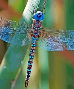 Blue Dragonfly Diamond Painting