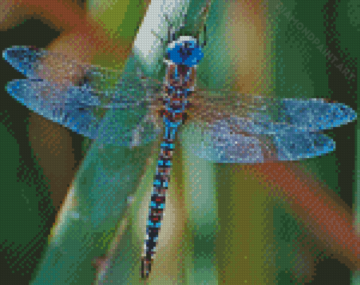 Blue Dragonfly Diamond Painting