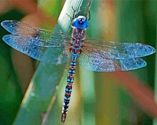 Blue Dragonfly Diamond Painting