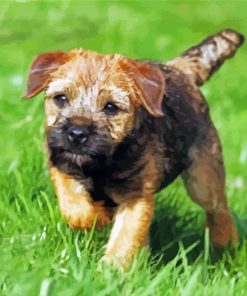 Border Terrier Puppy Diamond Painting