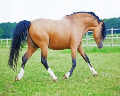 Brown Welsh Pony With Black Hair Diamond Painting