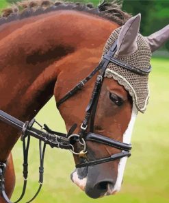 Brown Mare Horse Head Diamond Paintings