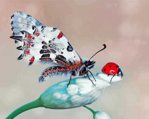 Butterfly And Ladybug Insects Diamond Painting