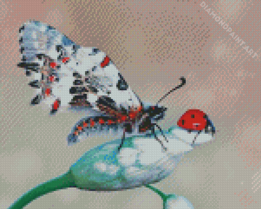 Butterfly And Ladybug Insects Diamond Painting