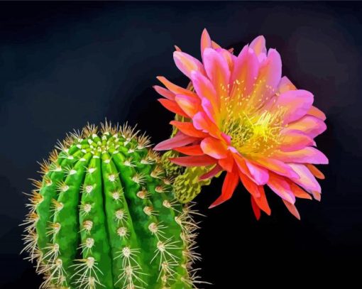 Cactus And Flower Diamond Paintings