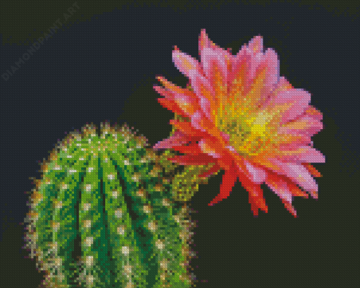 Cactus And Flower Diamond Paintings