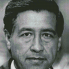 Cesar Chavez Face Diamond Painting