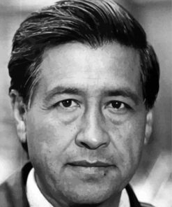 Cesar Chavez Face Diamond Painting