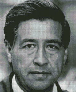 Cesar Chavez Face Diamond Painting