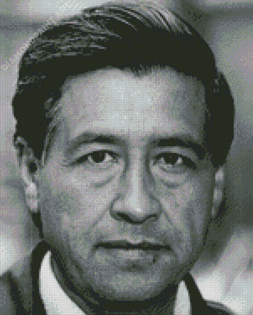 Cesar Chavez Face Diamond Painting