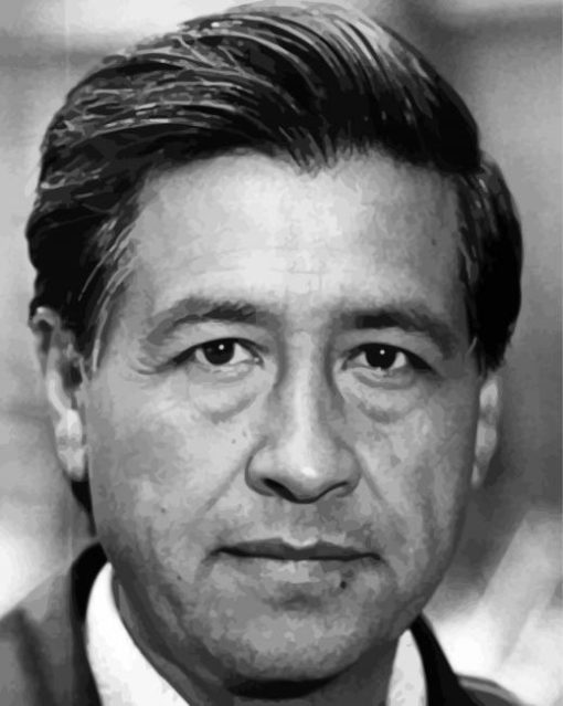 Cesar Chavez Face Diamond Painting