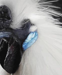 Close Up Silkie Chicken Diamond Painting