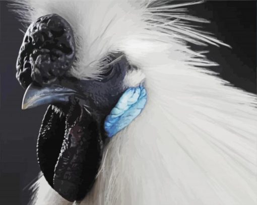 Close Up Silkie Chicken Diamond Painting