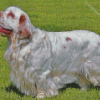 Clumber Spaniel Dog Diamond Painting