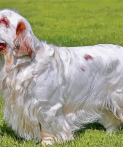 Clumber Spaniel Dog Diamond Painting