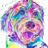 Colorful Bernedoodle Art Diamond Painting