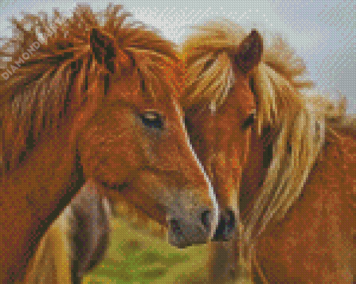 Couple Horses Animals Diamond Painting