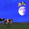 Cow Jumping Over The Moon Diamond Painting