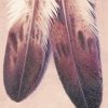 Eagle Feather Diamond Painting