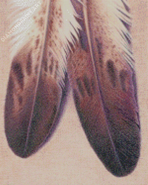 Eagle Feather Diamond Painting