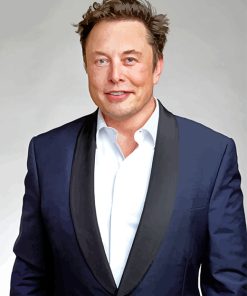 Elon musk Diamond Painting