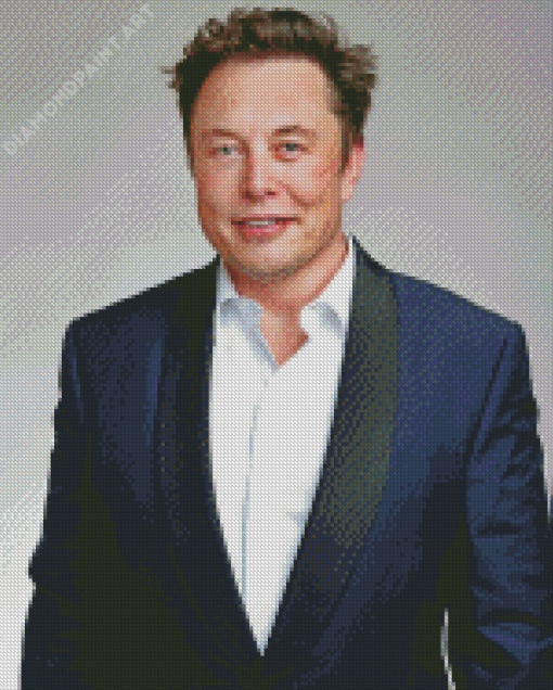 Elon musk Diamond Painting