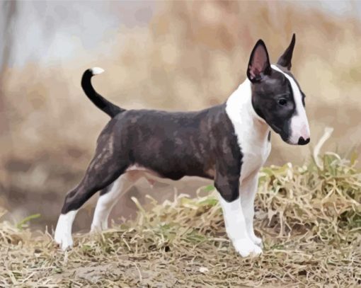 English Bull Terrier Diamond Paintings