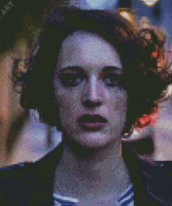 Fleabag Character Diamond Painting