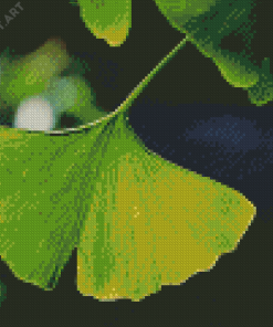 Ginkgo Biloba Leave Diamond Painting