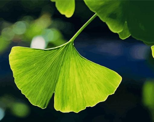 Ginkgo Biloba Leave Diamond Painting