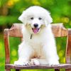 Great Pyrenees Puppy Diamond Painting